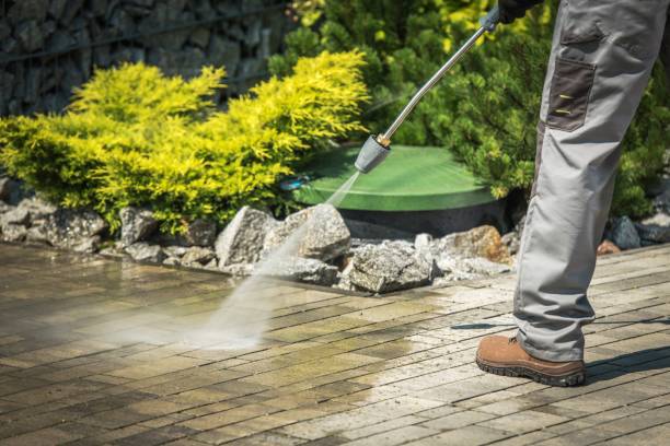Animal Enclosure Cleaning in Ramapo College Of New Jersey, NJ